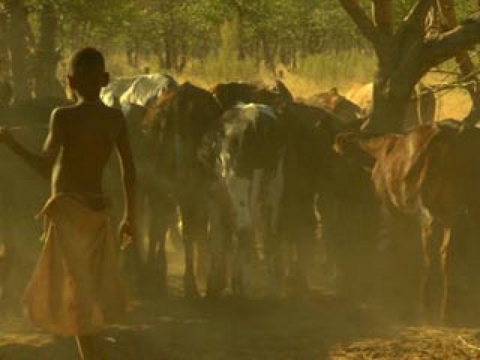 La caravana Play4África se acerca a Sudáfrica