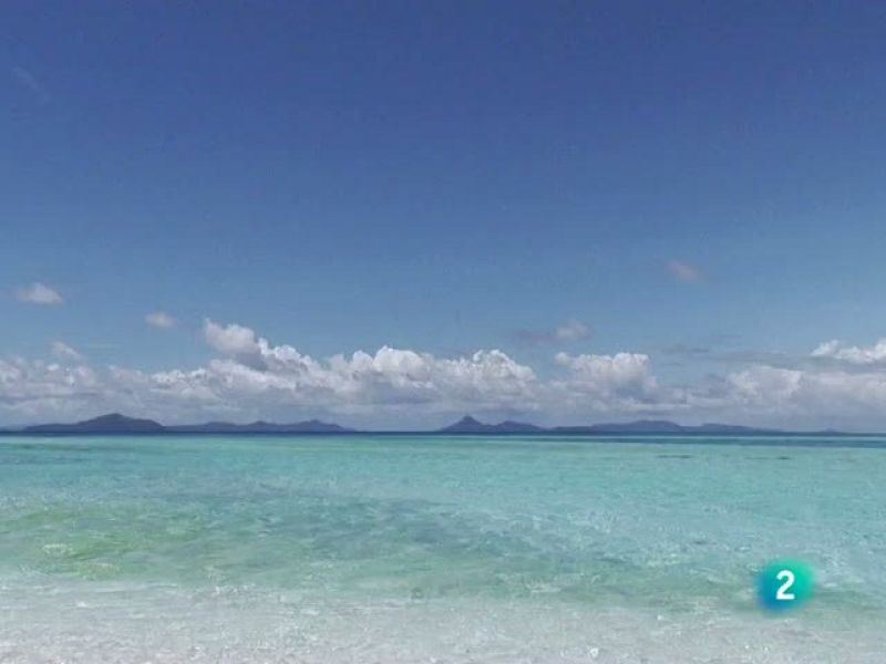 El temps (1/07/2010)