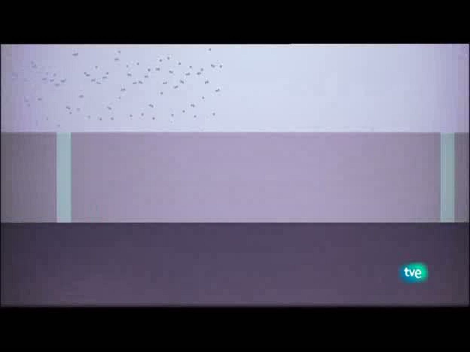 Jóvenes solistas - 04/07/10 - Ver ahora