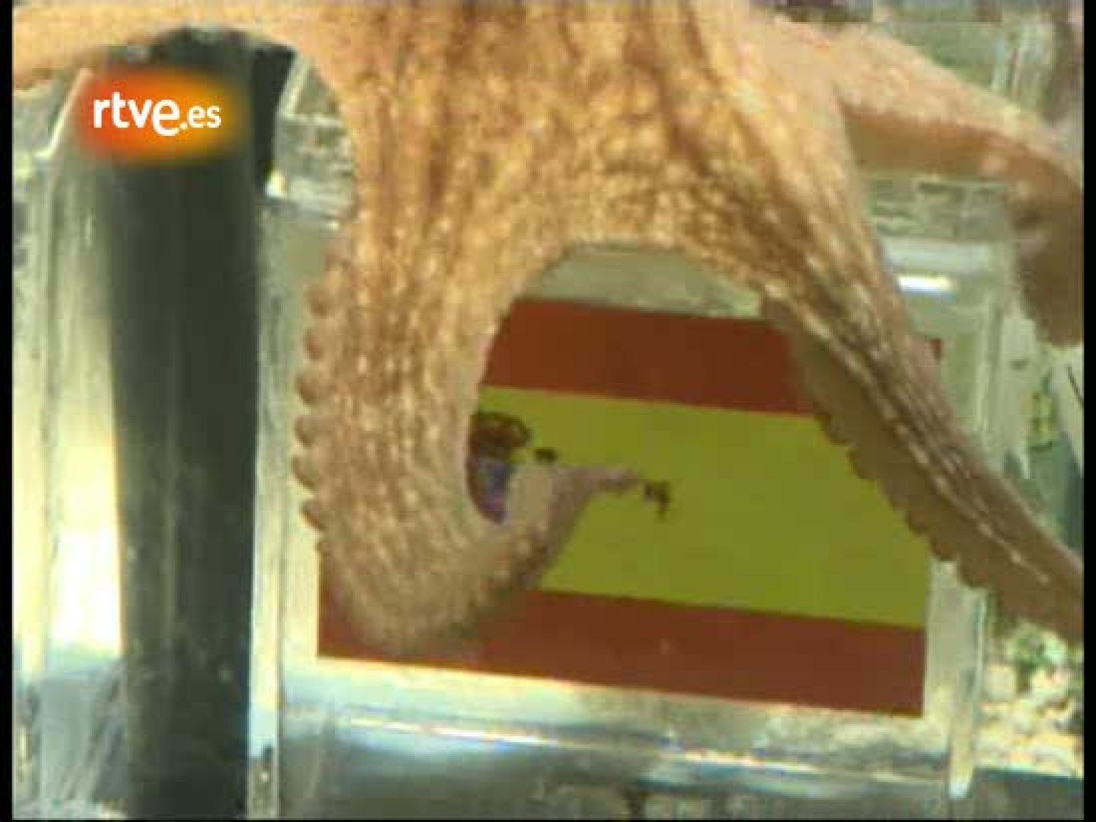 El pulpo Paul apuesta por España | Ver