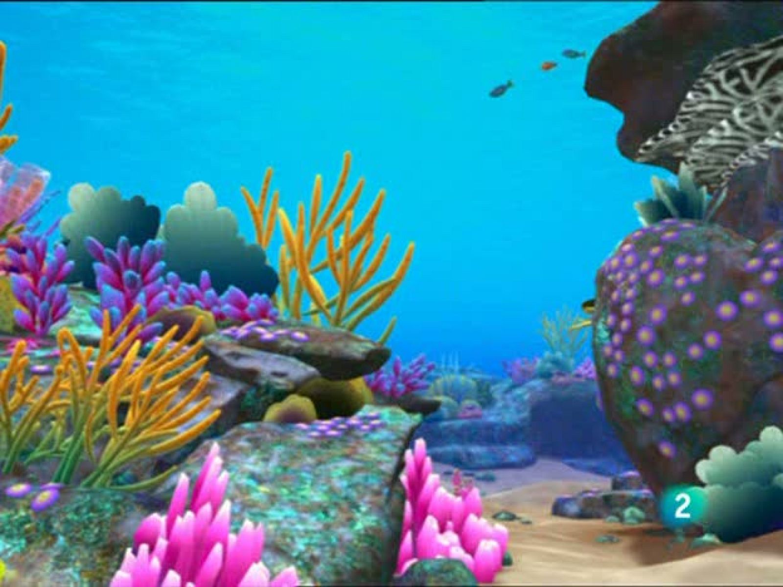 ¡Bucea Olly! - Bucea Olly | Ver