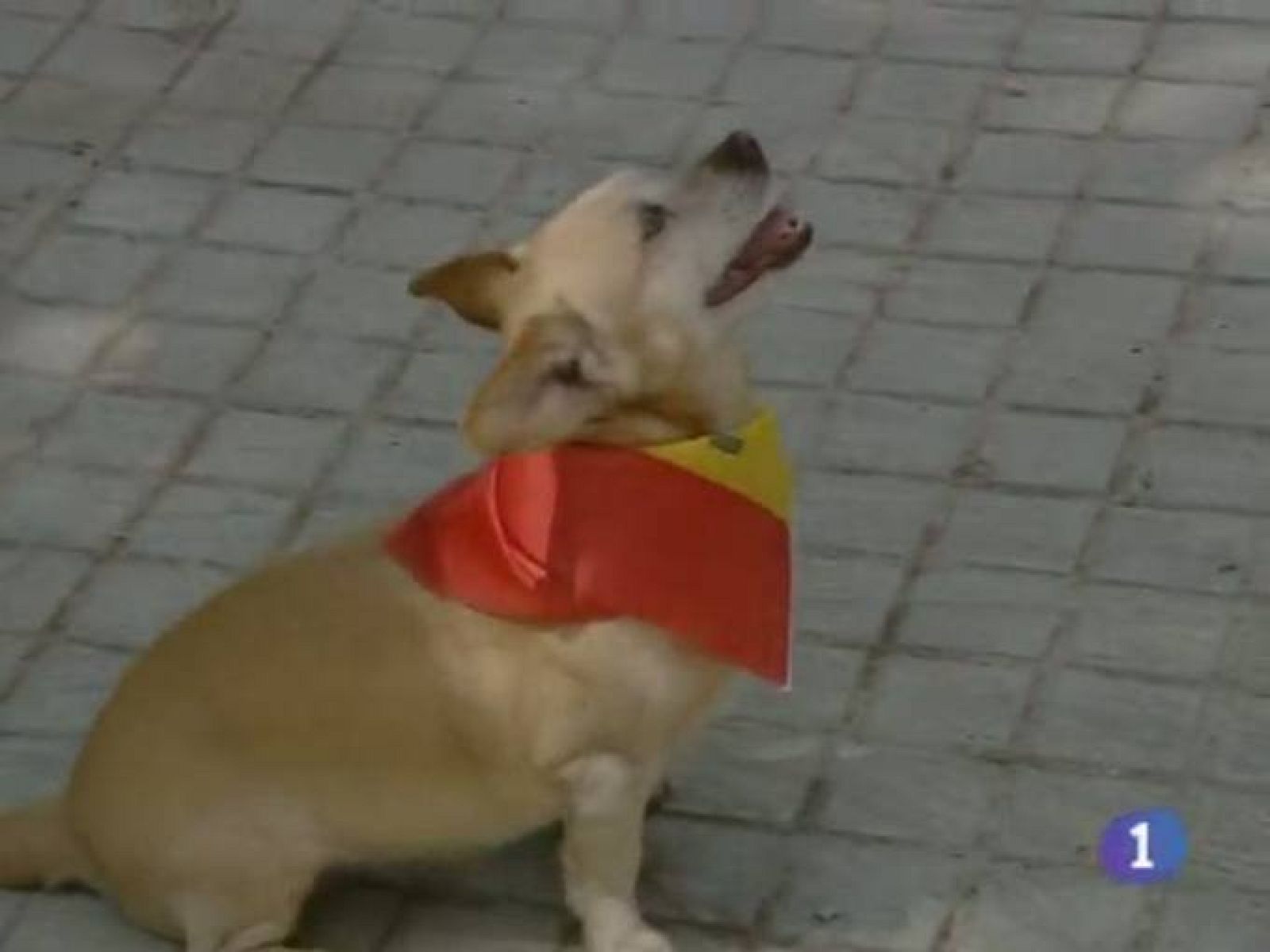 Noticias de Castilla - La Mancha. Informativo de Castilla - La Mancha. (07/07/10)