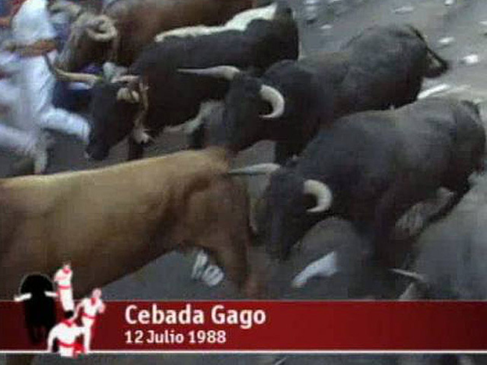 Espectacular encierro de Cebada Gago en 1988 | Ver