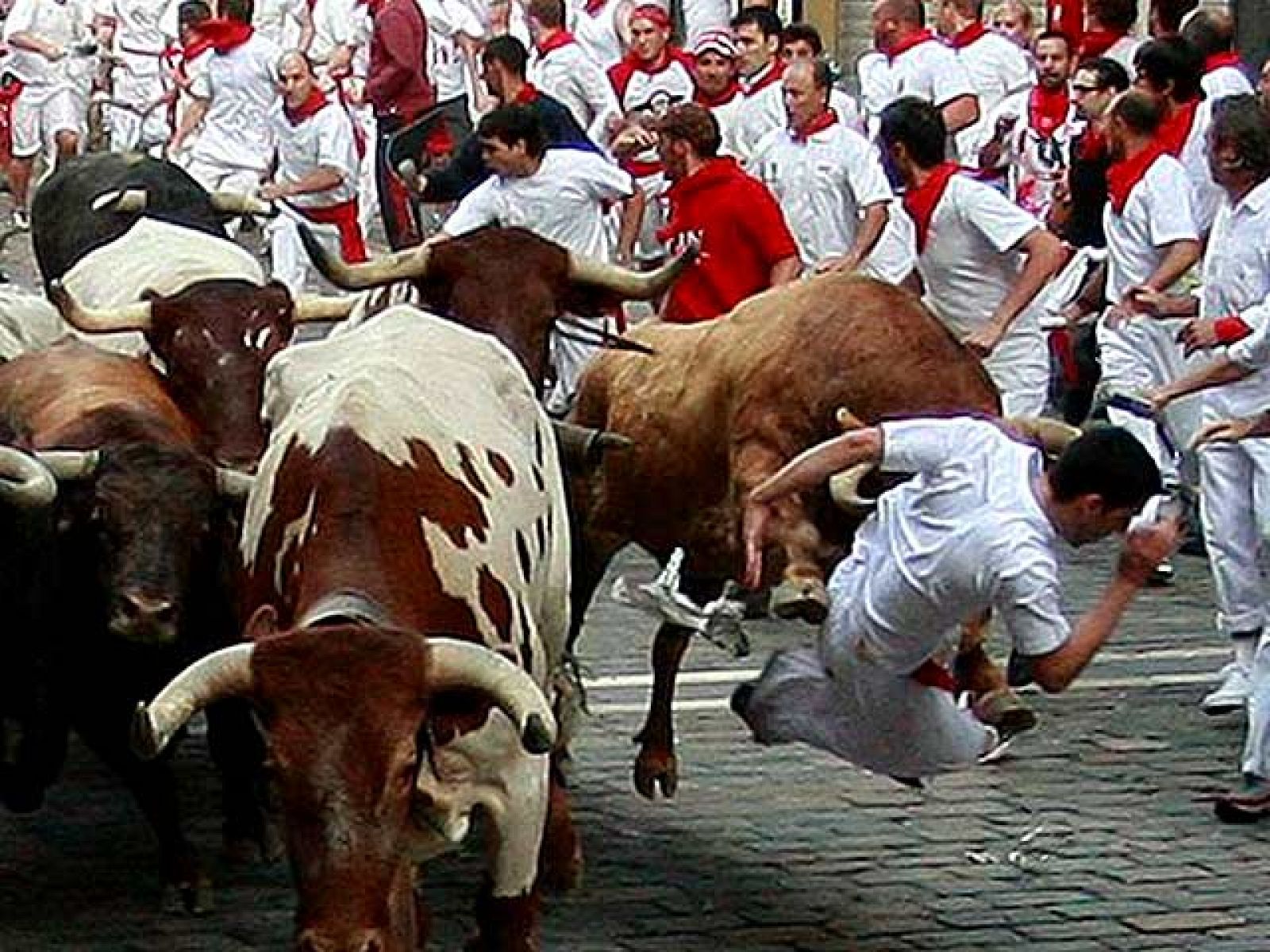 Segundo encierro de San Fermín 2010 | Ver
