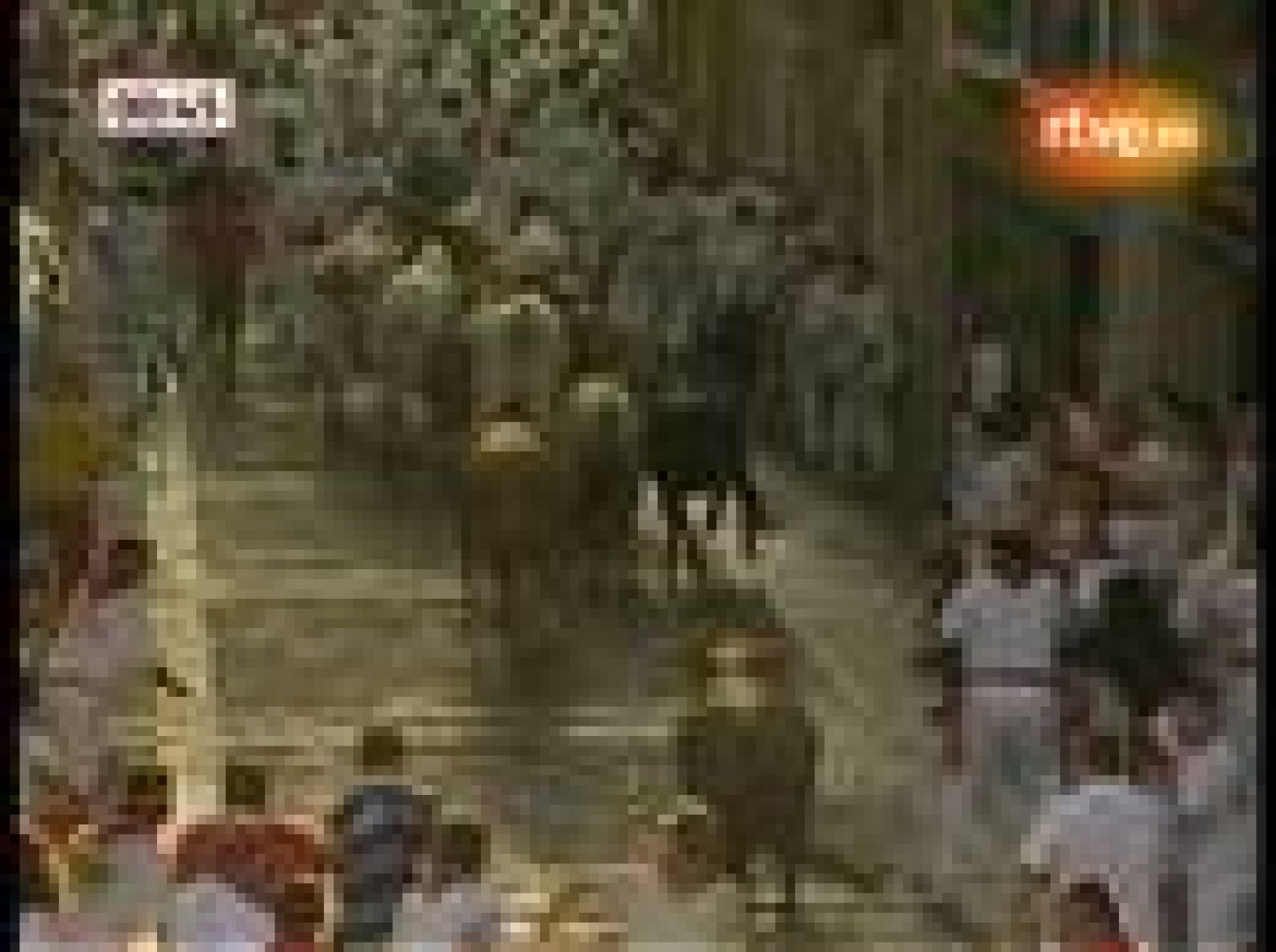Segundo encierro de San Fermín 2010 | Ver