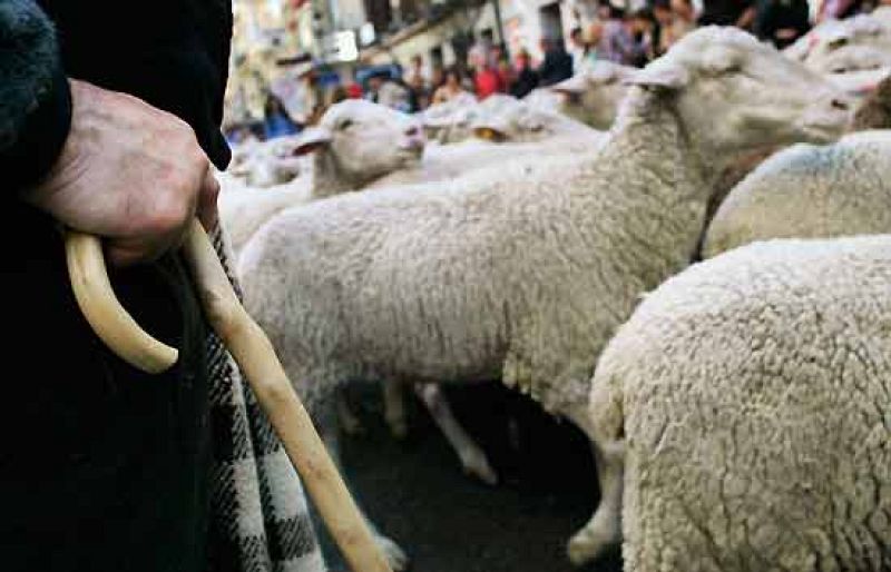 Varios miles de agricultores han protestado en Toledo para reclamar al Gobierno medidas contra la crisis del sector (17/05/08).