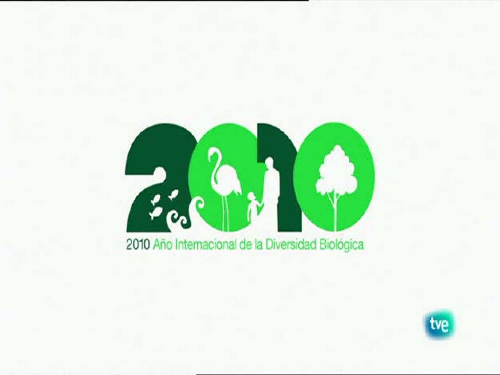 Serie: Biodiario. Dirección: Luis Miguel Domínguez. Sinopsis: El lagarto ocelado es el mas grande de nuestra península, la vaca pajuna está en extinción y como ser eficientes al instalar una ventana.