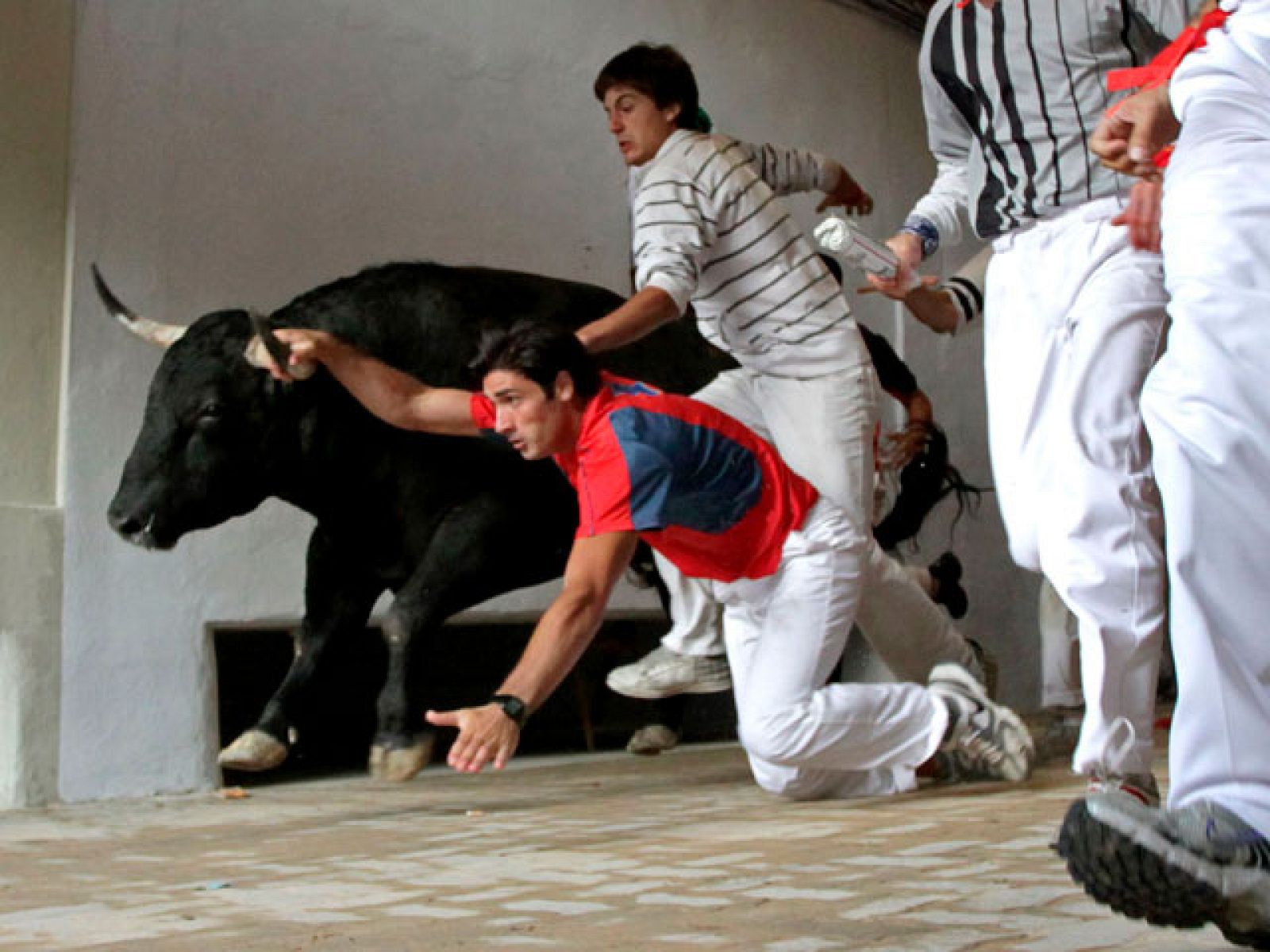 Rapidísimo sexto encierro de los toros de Victoriano del Río | Ver