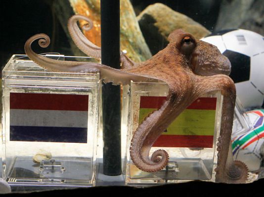  - Agradecidos al pulpo Paul