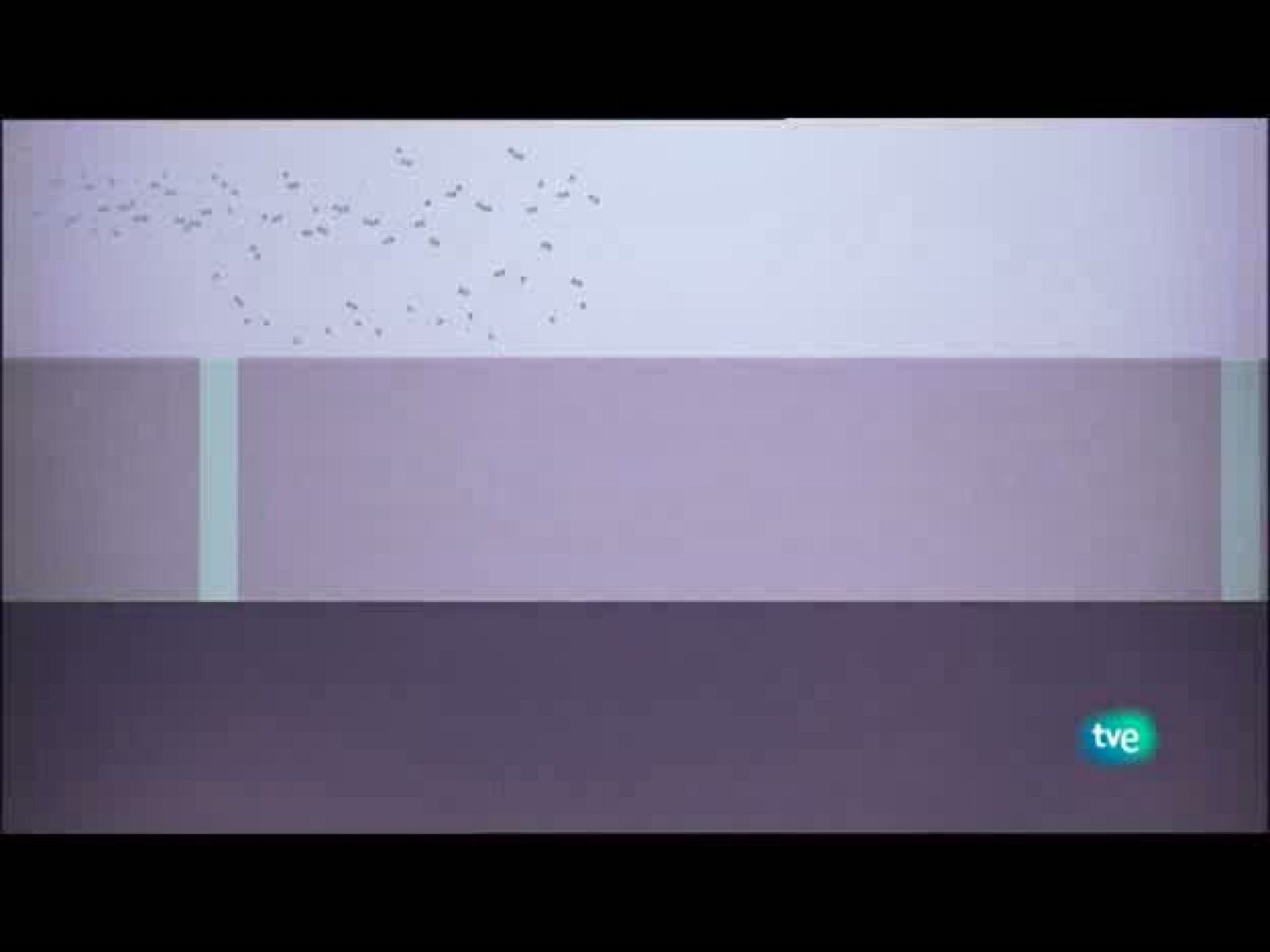 Jóvenes solistas - 17/07/10 - Jóvenes solistas | Ver