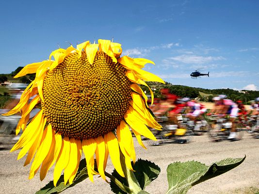 Tour de Francia - Sol y calor ajustician al pelotón
