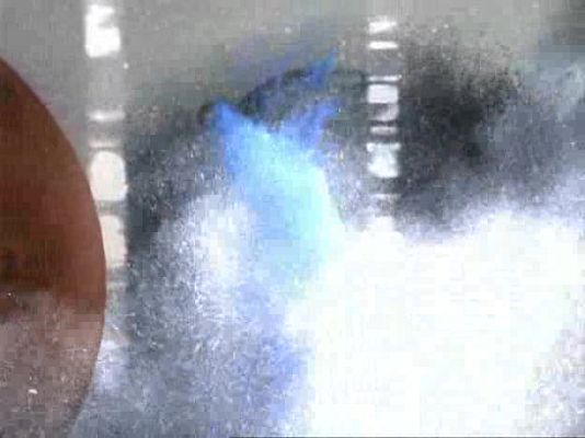 tres14 - Música y cerebro