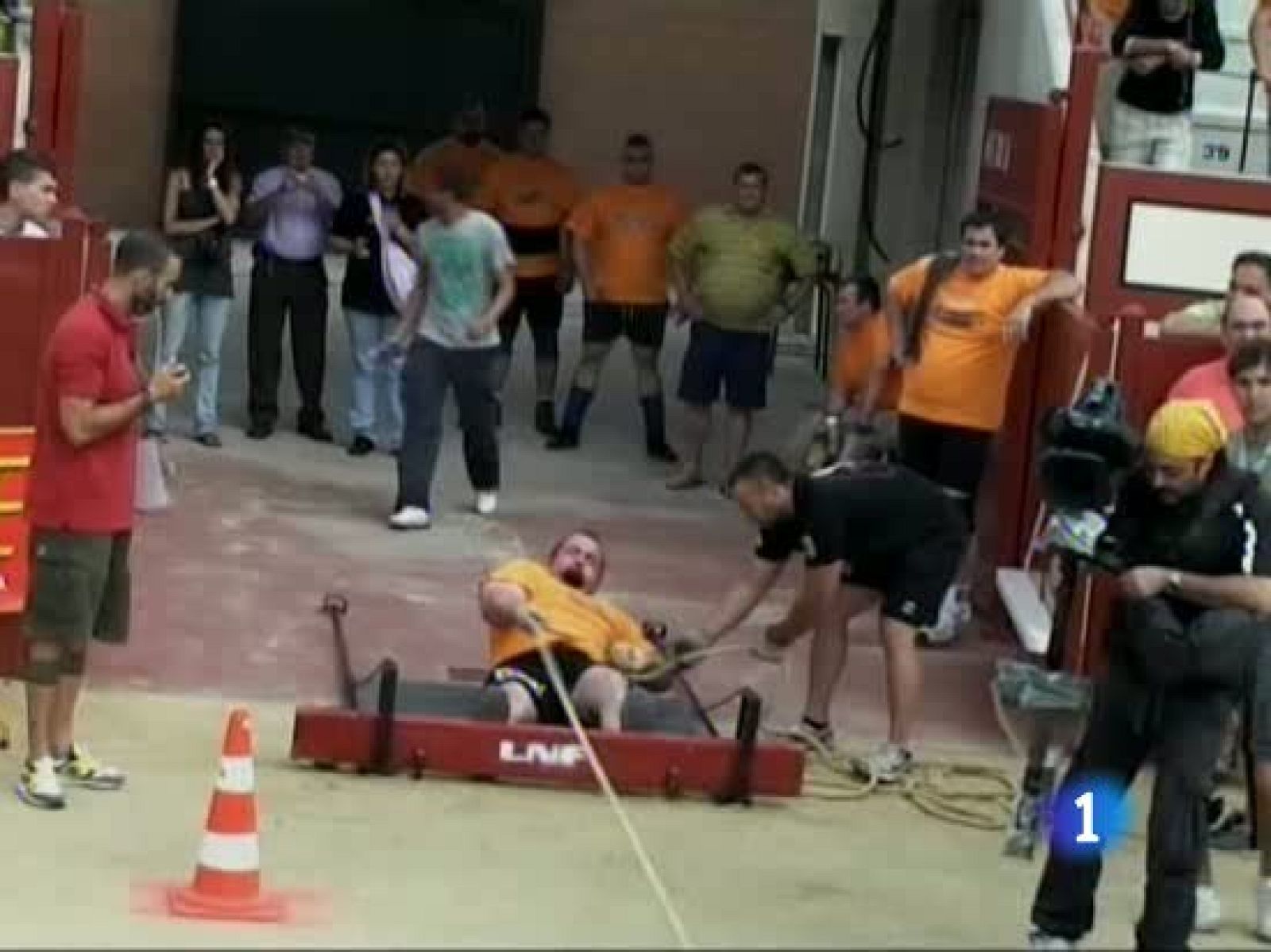 Estos si que tiran del carro... | Ver