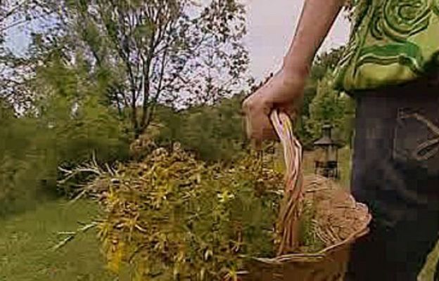 España Directo - Un botiquín casero