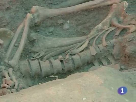 Noticias de Castilla-La Mancha - Noticias de Castilla-La Mancha - 21/07/10