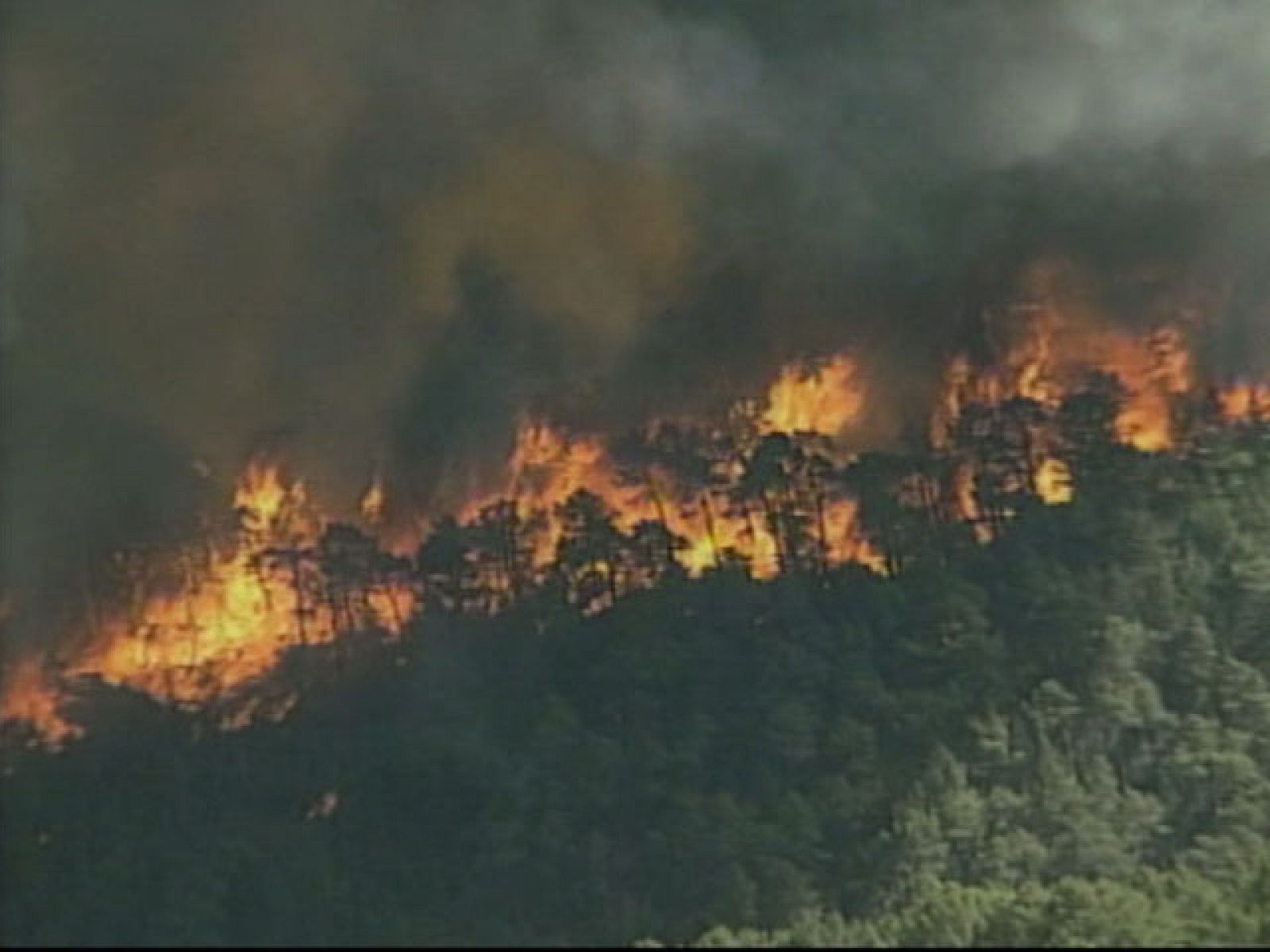 La Audiencia Provincial de Guadalajara exculpa a técnicos y  políticos de Castilla-La Mancha de cualquier responsabilidad en el incendio | Ver