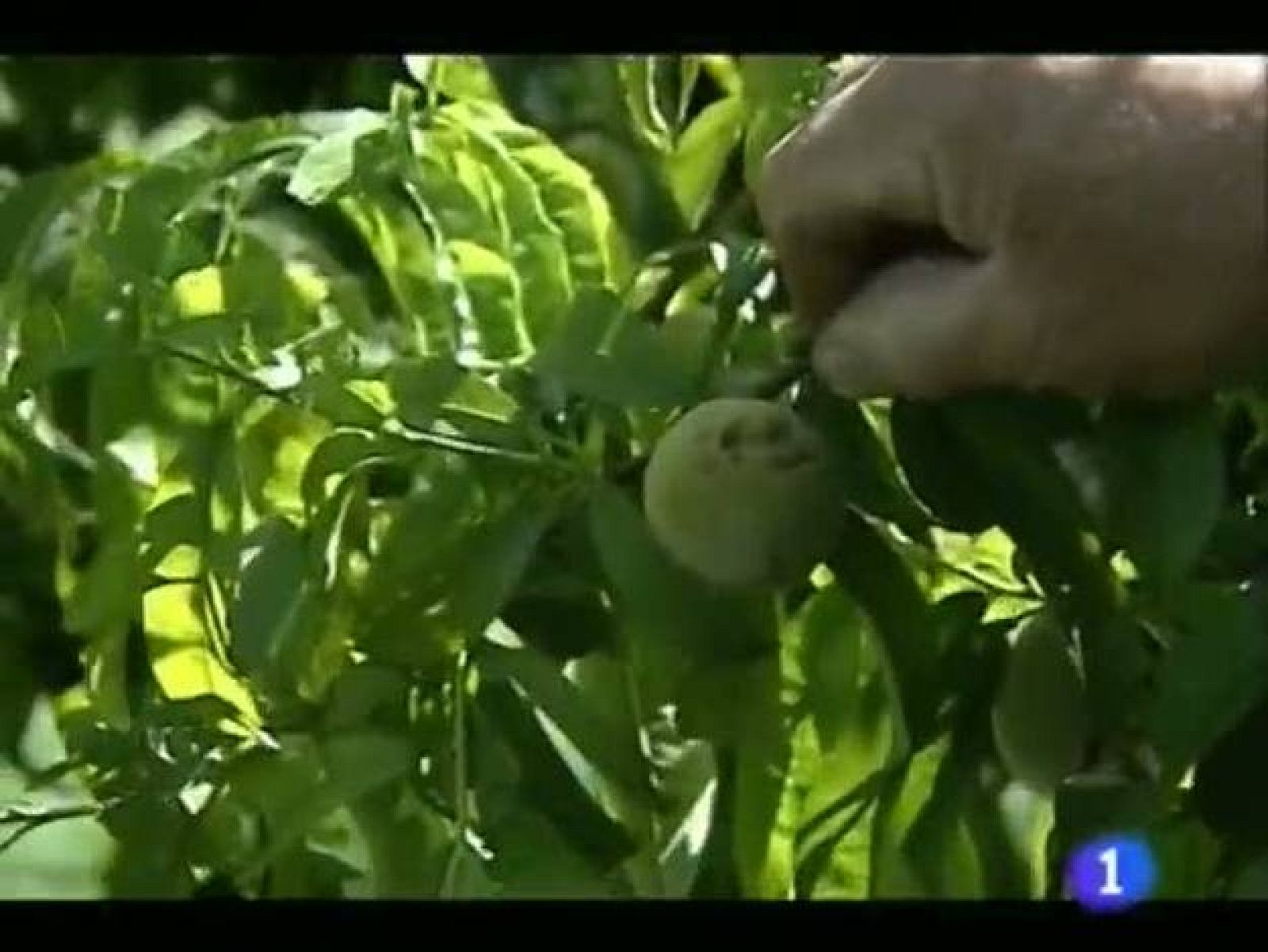 Noticias Aragón (23/07/2010)