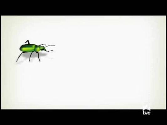 El escarabajo verde - Slow Food en Euskadi