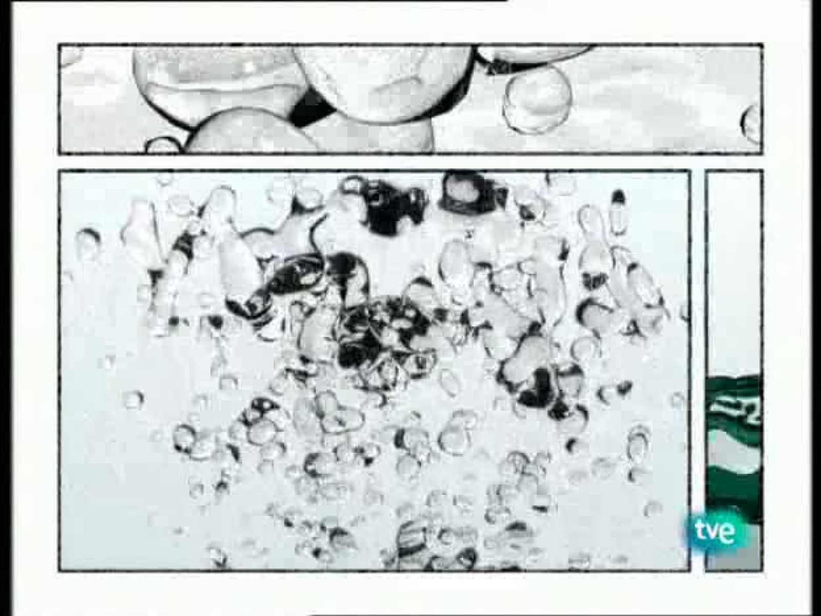 UNED - Colectivos en riesgo social