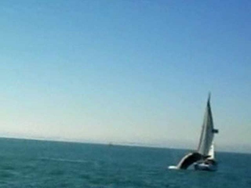 Una ballena ataca a un yate en Ciudad del Cabo | Ver