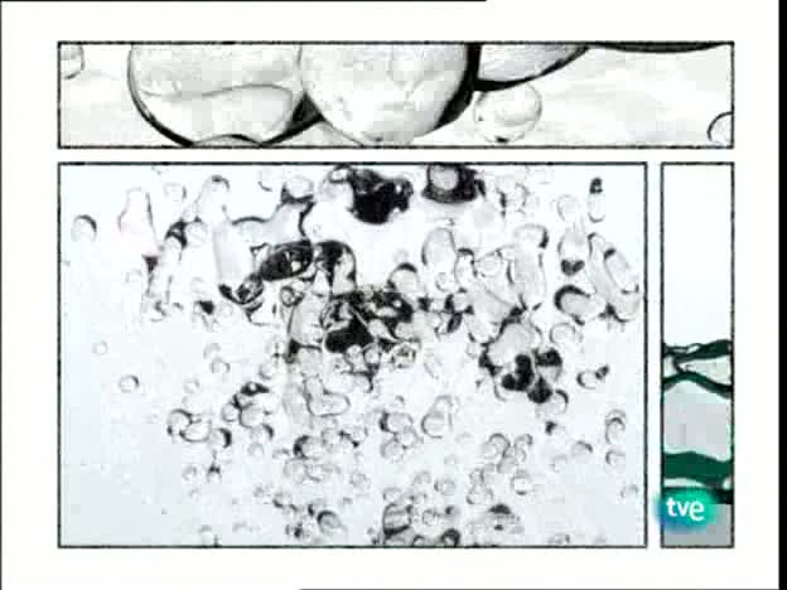 UNED - Leonardo Turriano, Ingeniero del Rey