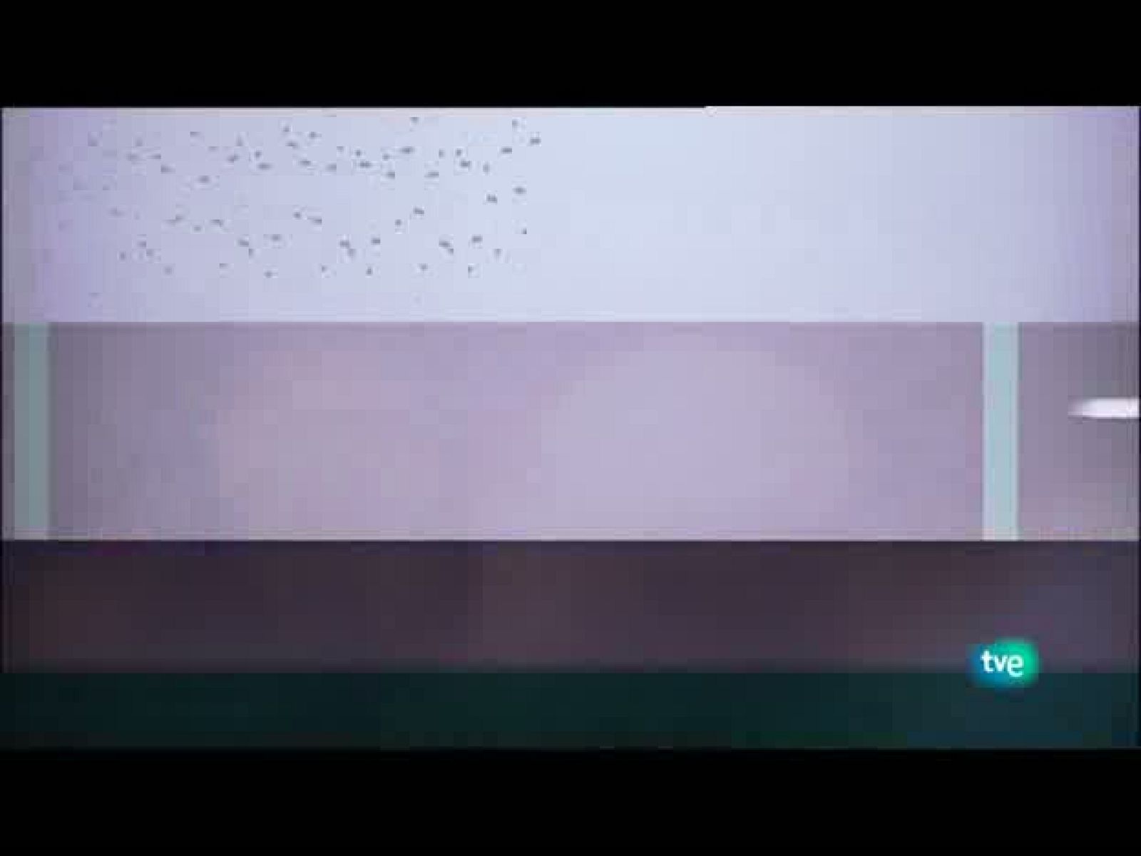 Jóvenes solistas - 25/07/10 - Ver ahora