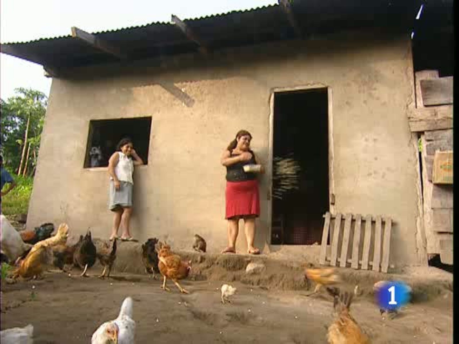 El 17 por ciento de los nicaragüenses viven en la pobreza extrema | Ver