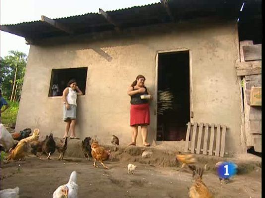  - Talleres organizados por la FAO