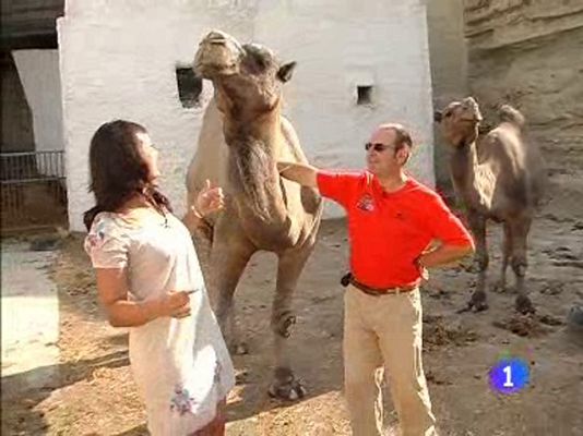 Comando Actualidad - 40º en el Desierto de los Monegros