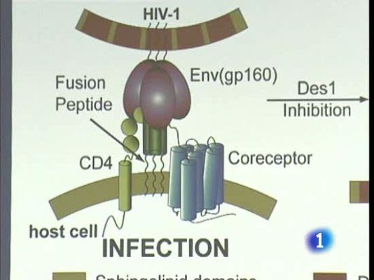 Ciencia y tecnología en Rtve.es - Una proteína contra el SIDA