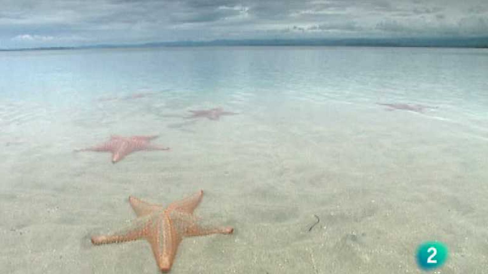 América total - Bocas del Toro - América total | Ver