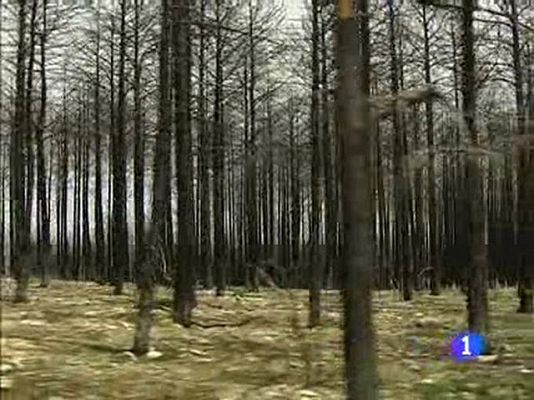  - Un año de los incendios de Teruel