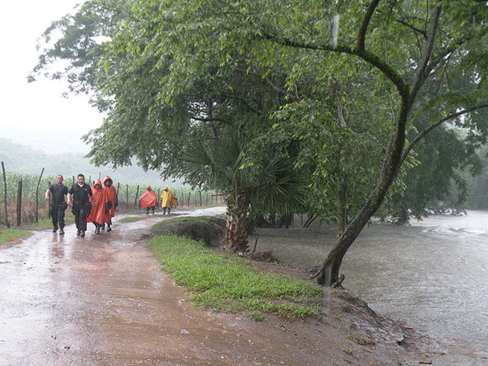 Telediario fin de semana en cuatro minutos - 31/07/10 | Ver