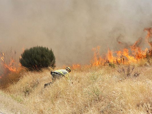 Telediario 1 - Telediario en 4' - 01/08/10