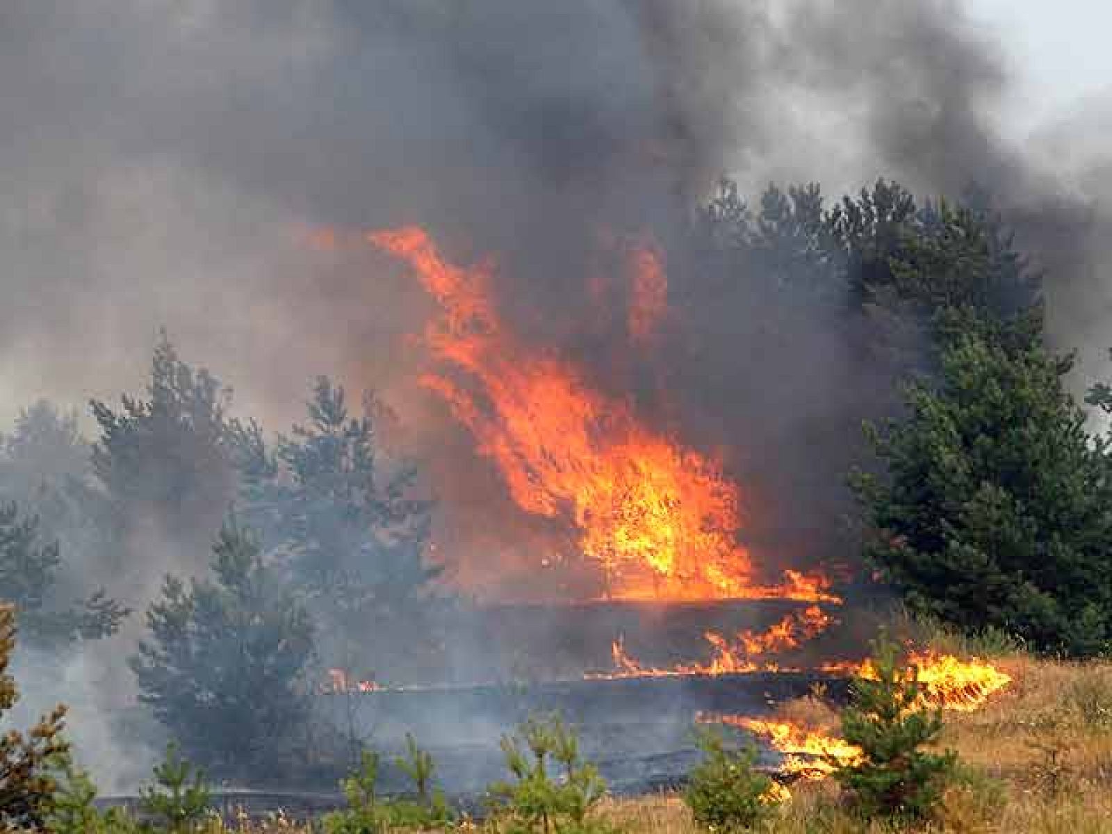 Ascienden a 34 los muertos en Rusia por la ola de calor que sufre el país | Ver
