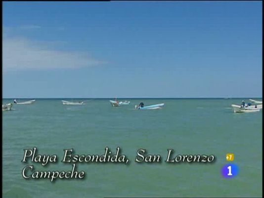 Mar de amor - Mar de amor