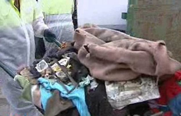 España Directo - Limpian la casa de un diógenes