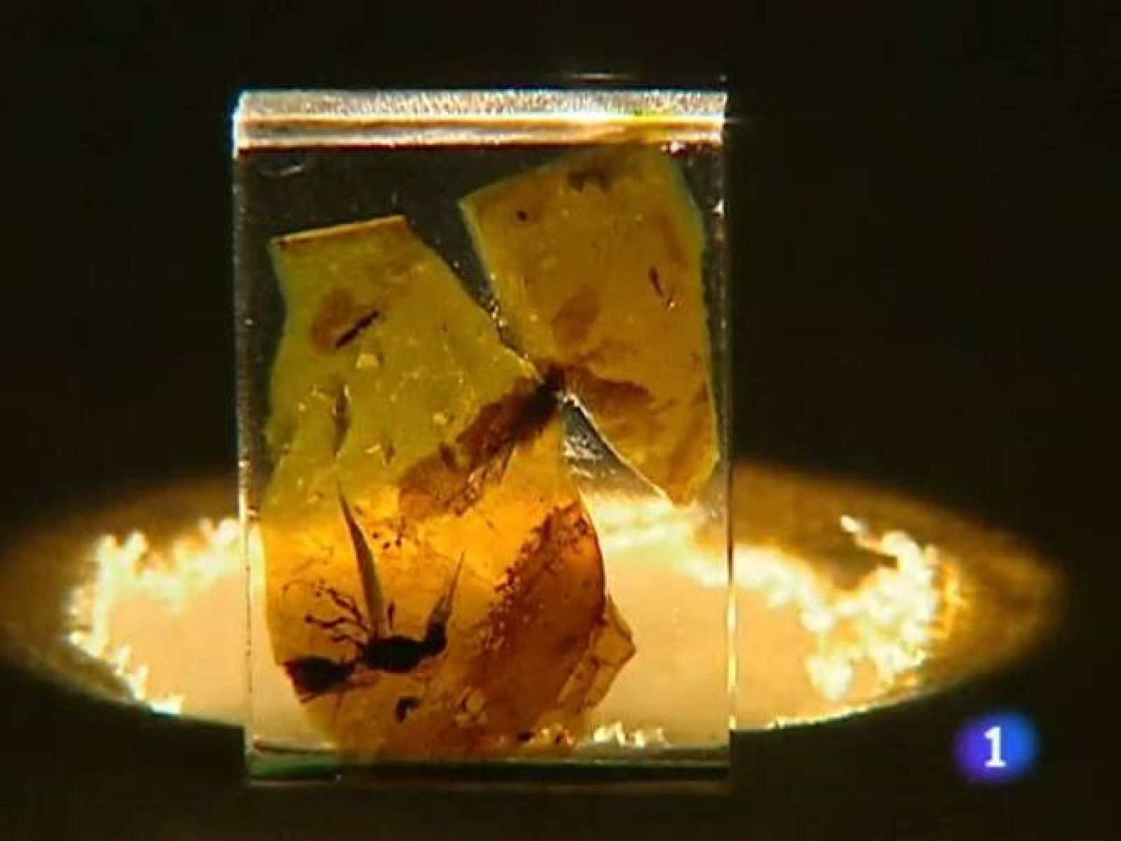 Telecantabria. (06/08/10)