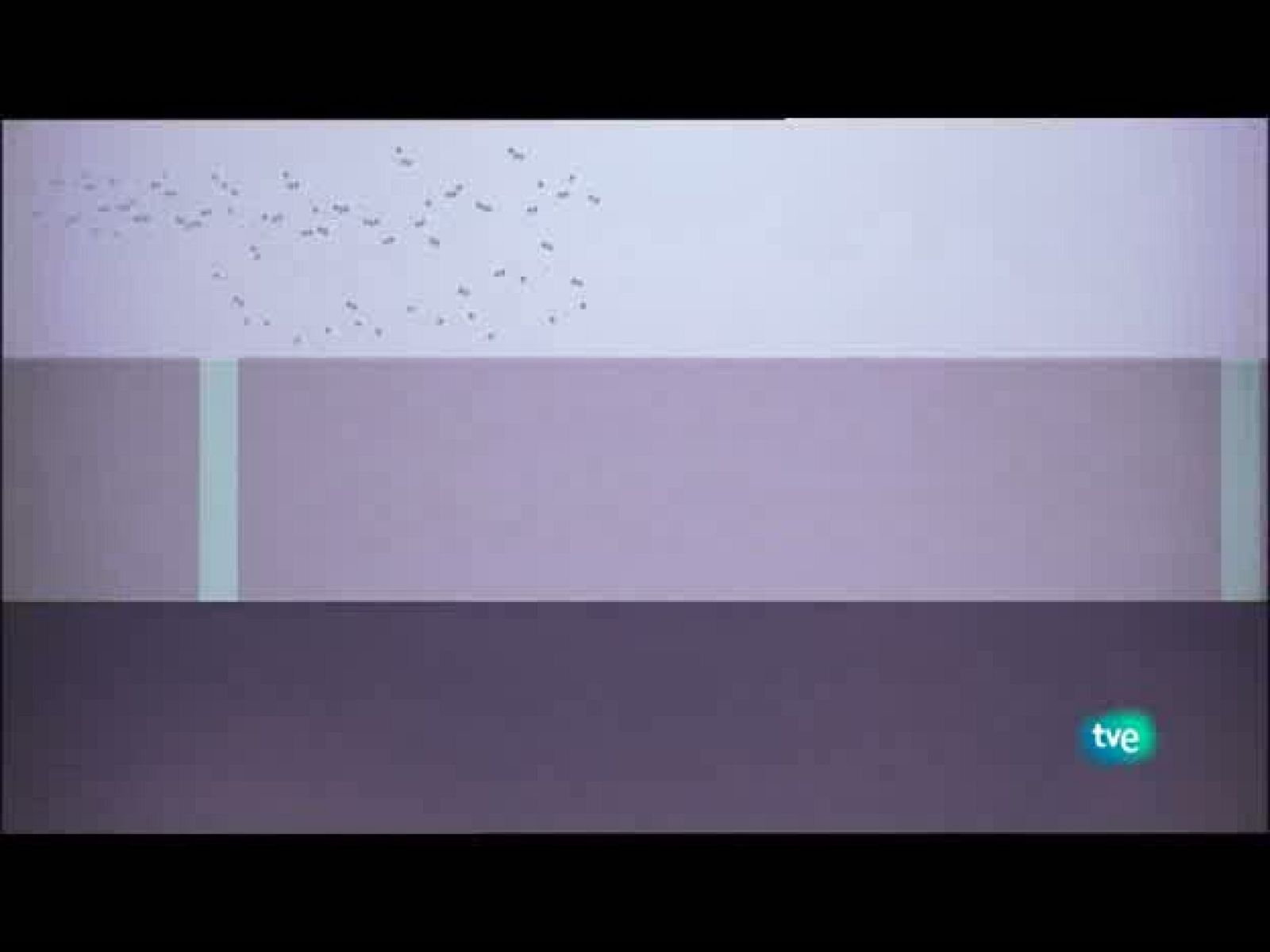 Jóvenes solistas - 06/08/10 - Jóvenes solistas | Ver