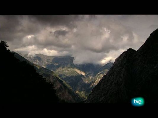 La dieta mediterránea - Lácteos; quesos y yogures
