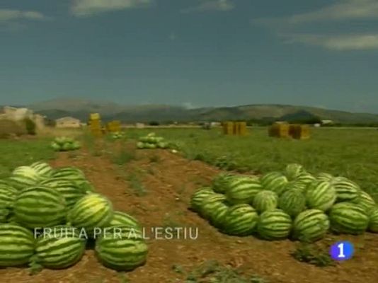 Informatiu Balear - Informatiu Balear - 11/08/10