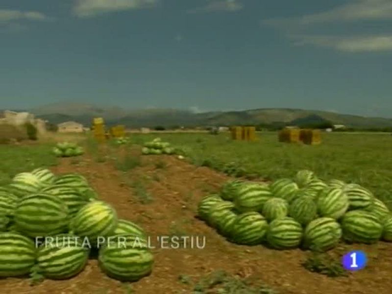 Informatiu Balear. Informatiu de les Illes Balears. (11/08/10)