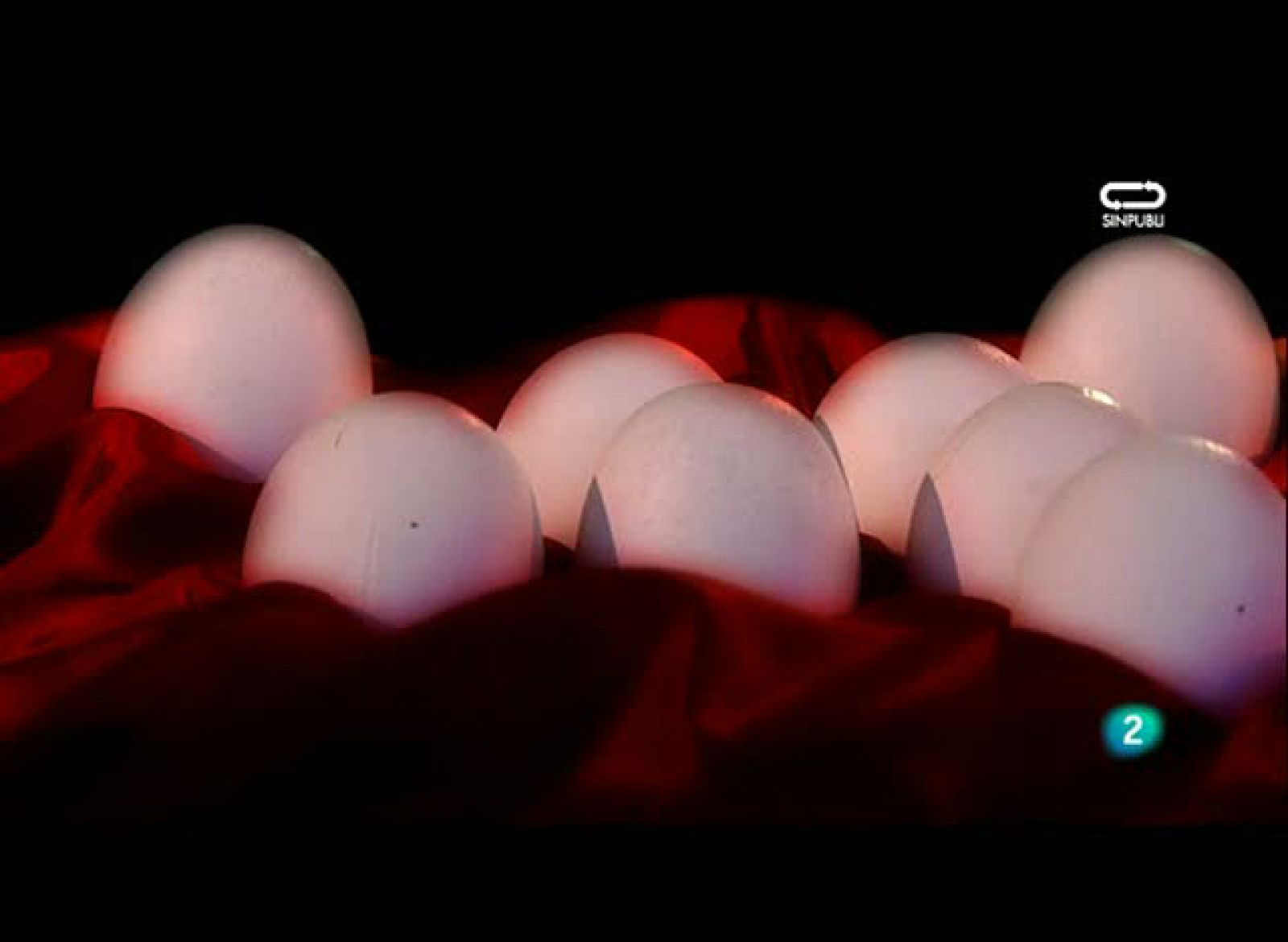 Mi reino por un caballo 6 (12/08/2010):   Festivales de verano III