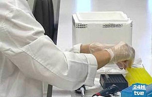 Ciencia y tecnología en Rtve.es - Luz verde a los embriones híbridos