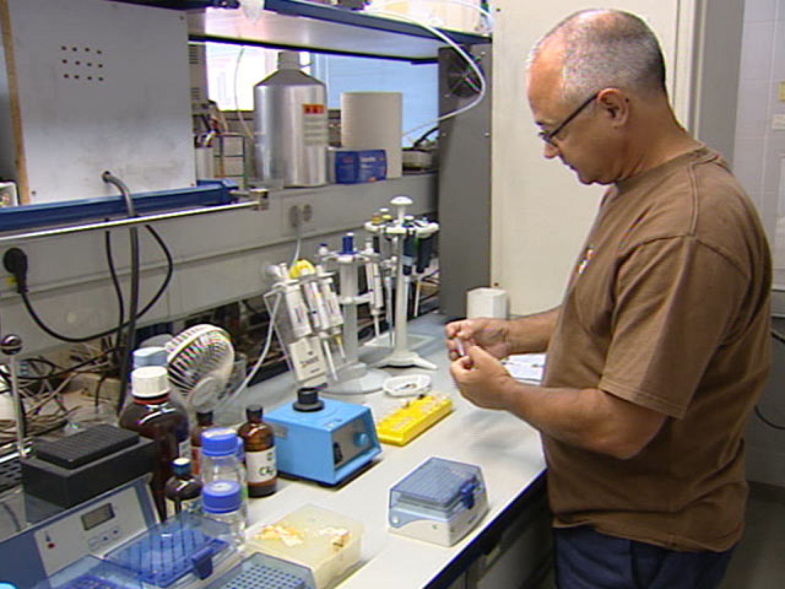 Antídotos contra mordeduras de serpiente - Ciencia y tecnología en Rtve.es | Ver