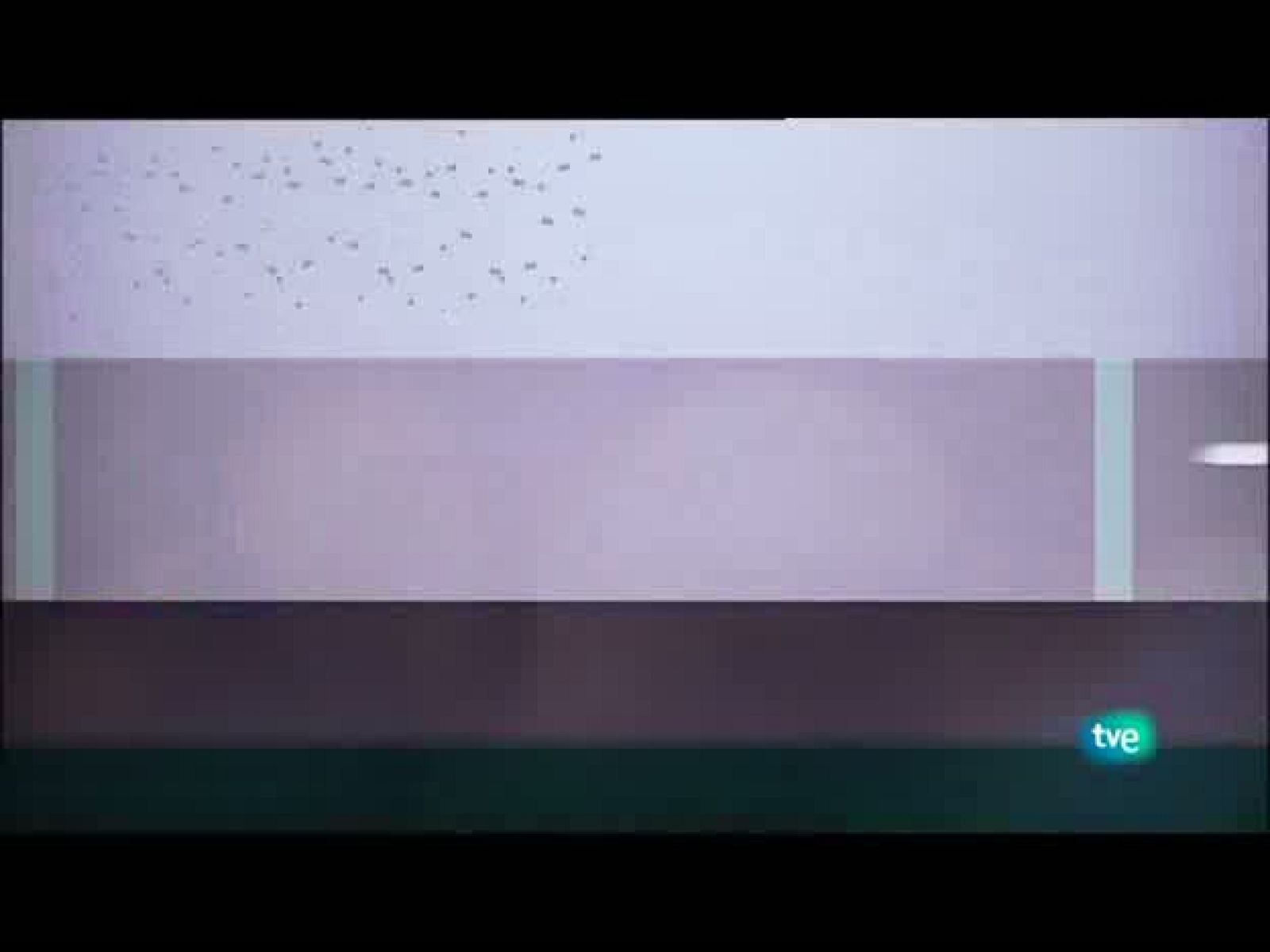 Jóvenes solistas - 14/08/10 - Ver ahora