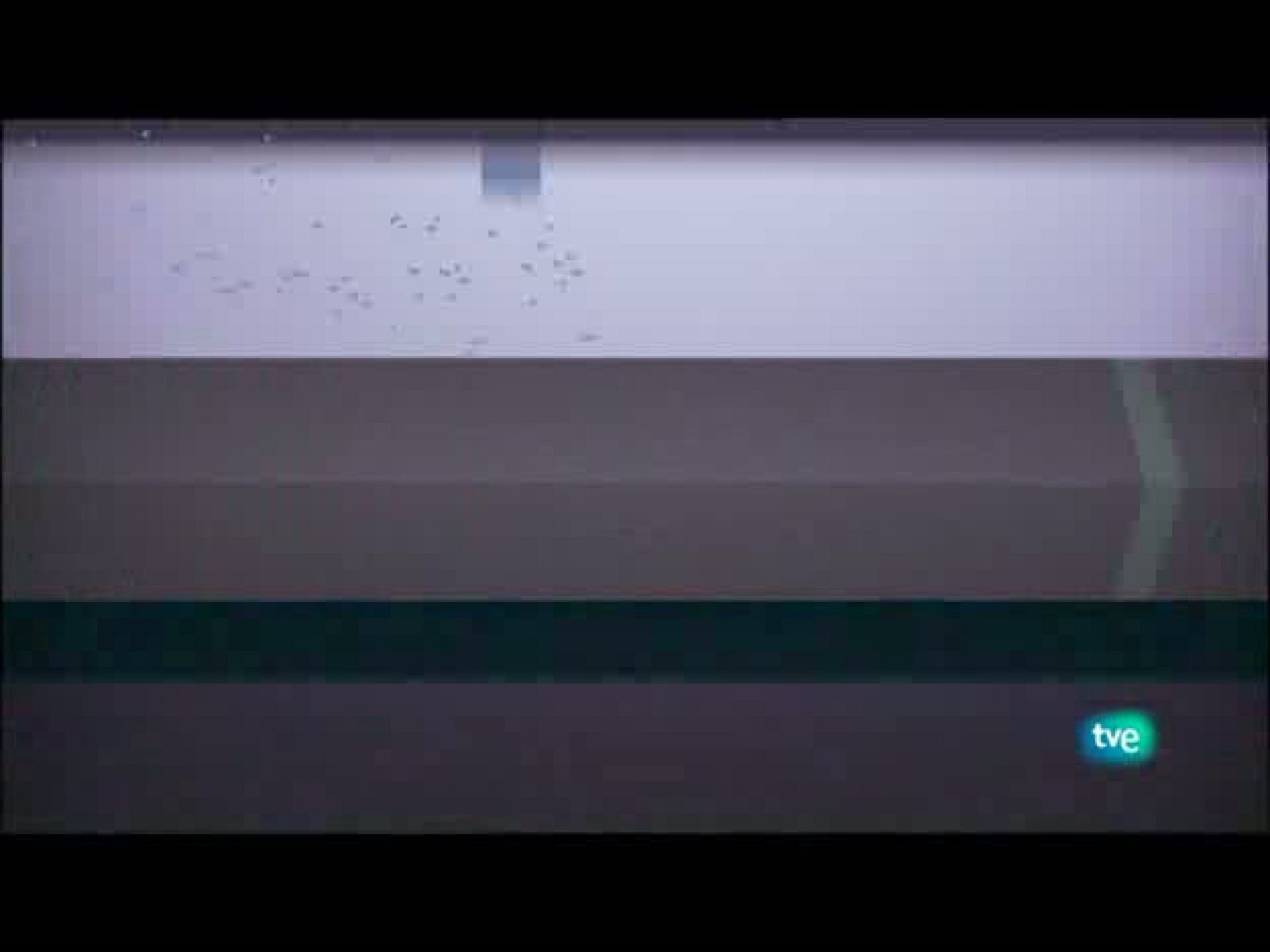 Jóvenes solistas - 15/08/10 - Jóvenes solistas | Ver