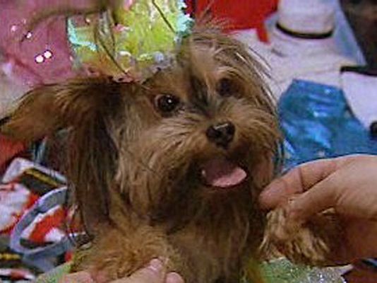 España Directo - ¡Menudo fondo de armario!