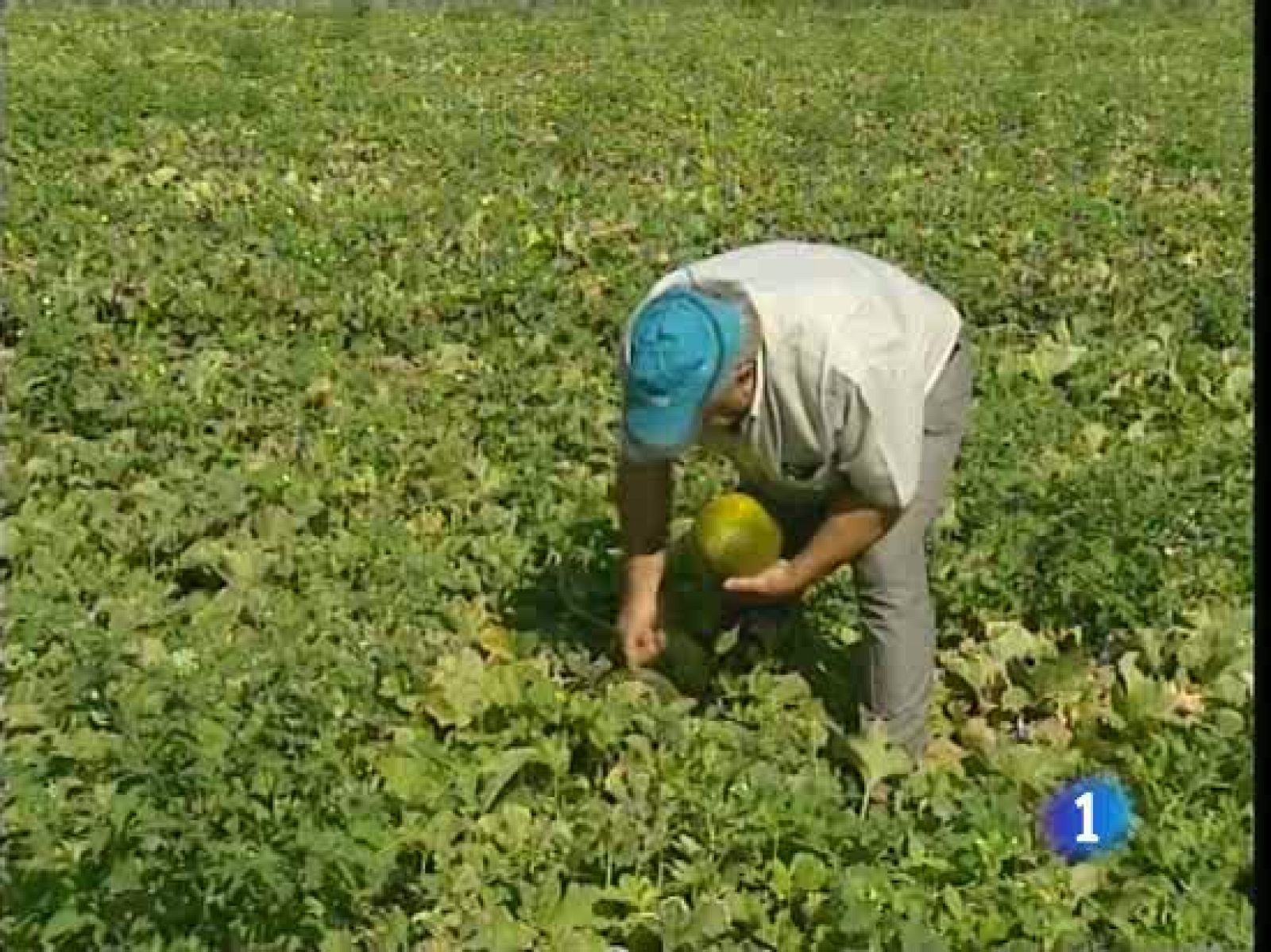 Seguridad privada en el campo