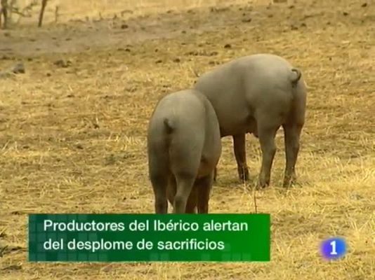 Noticias de Extremadura - Noticias de Extremadura - 17/08/10